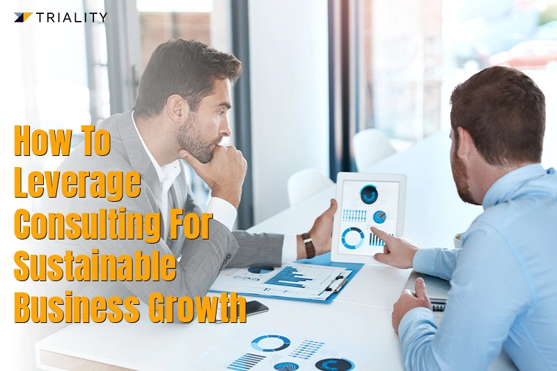 how to leverage consulting for sustainable