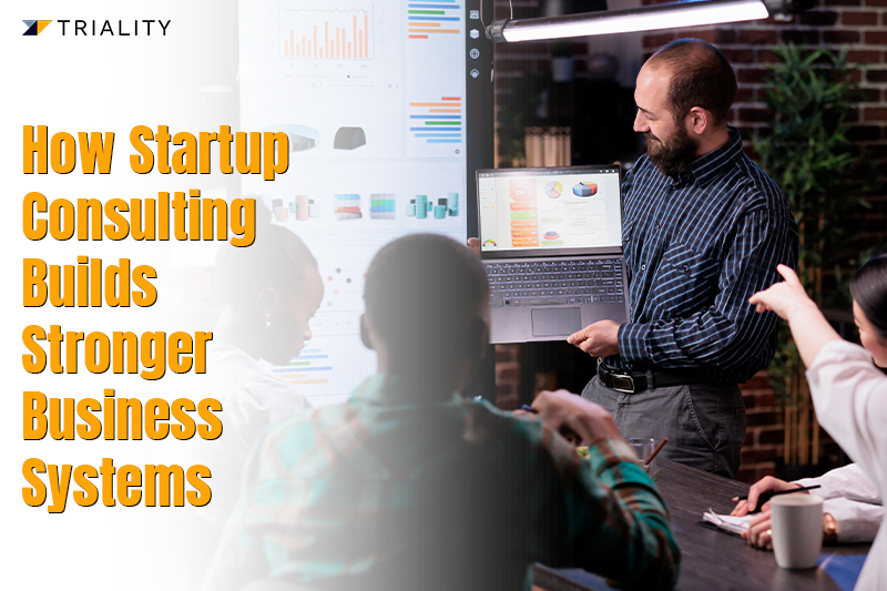 How Startup Consulting Builds Stronger Business Systems